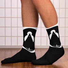 Load image into Gallery viewer, CF logo Socks
